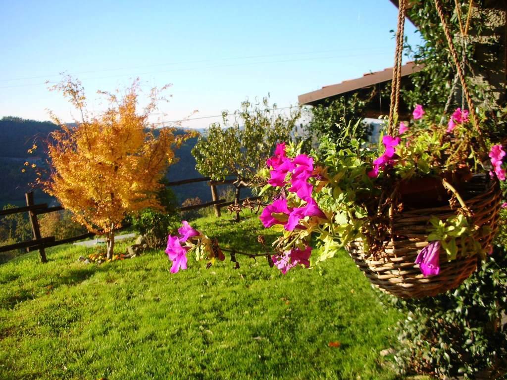 Agriturismo Le Piagge Ponzone Dış mekan fotoğraf