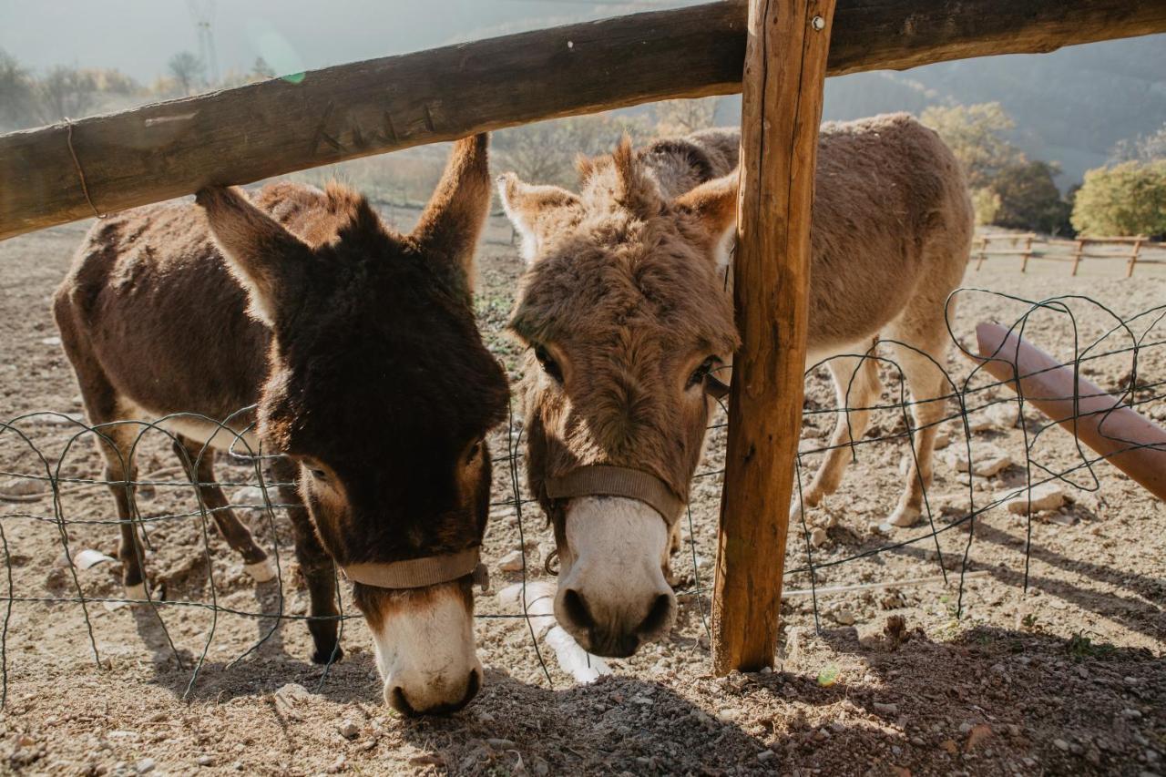 Agriturismo Le Piagge Ponzone Dış mekan fotoğraf